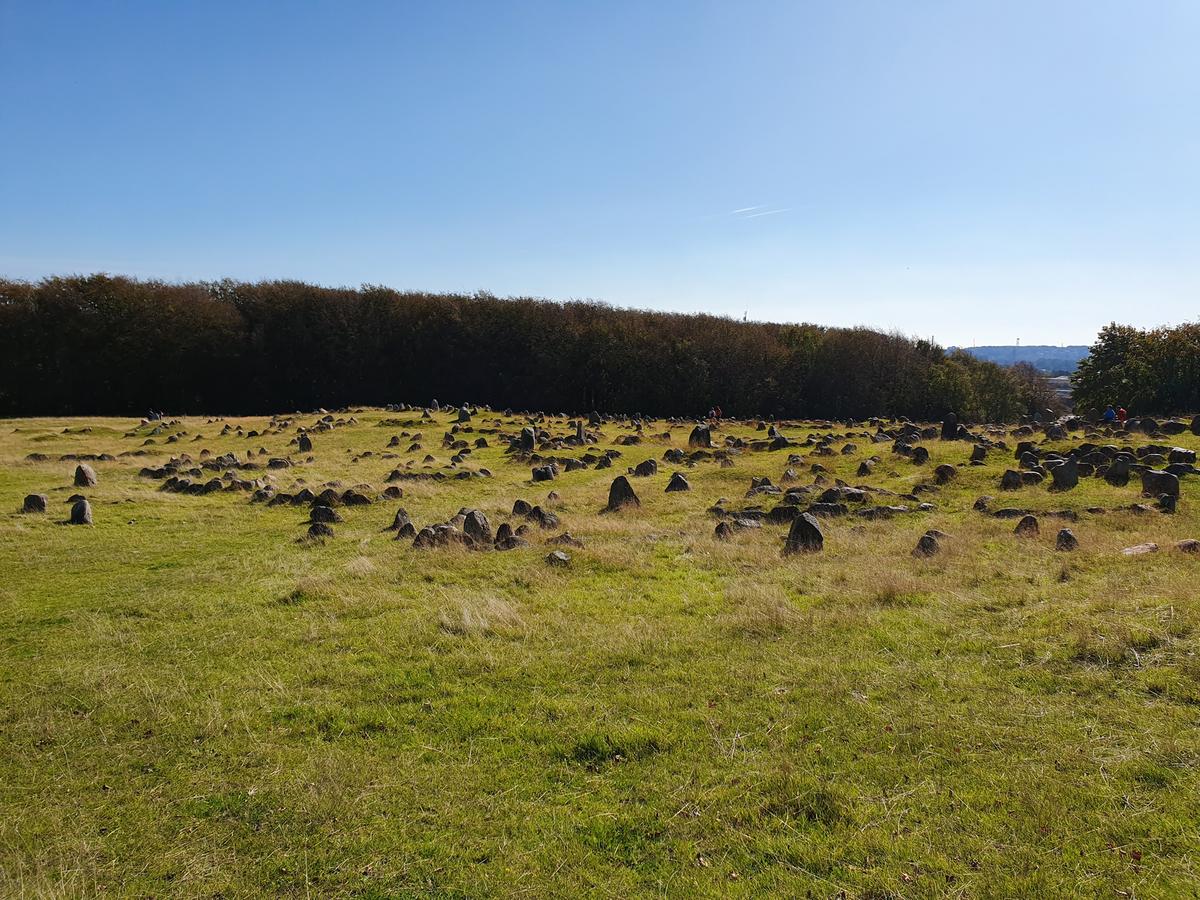 View from Lindholm Høje